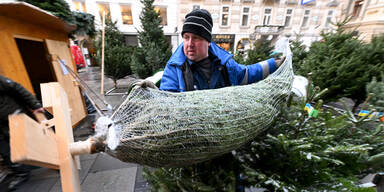 Christbaumverkauf startet an 234 Marktpl&auml;tzen