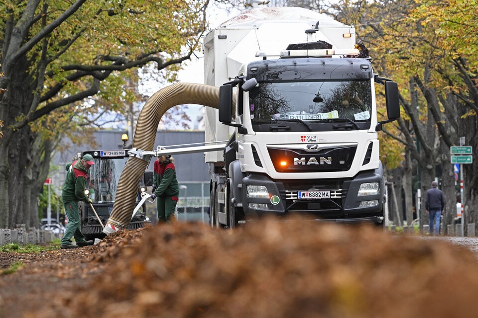 Arbeiter beseitigen Laub in der Prater Hauptallee.