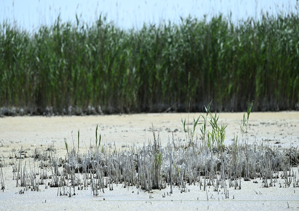 Immer mehr Seen trocknen aus