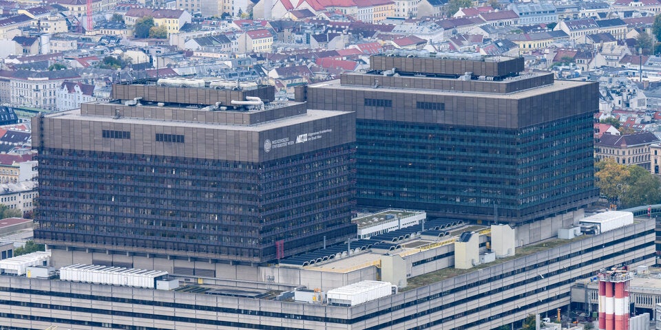 Gastpatienten-Unrecht: Gesundheitsökonom Pichlbauer sieht 