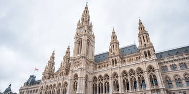 Mindestsicherung bis Radwege: So will Wien Milliarden einsparen