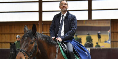 Polizei-Pferde bekommen drei Giraffen als Nachbarn