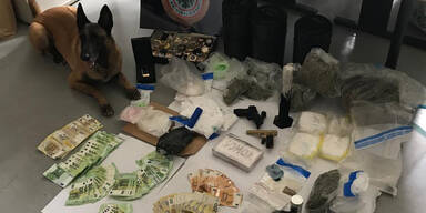 Dealer in Wien-hernasl ausgeforscht