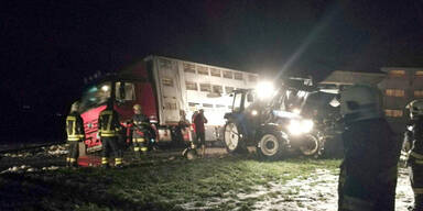 Schweinetransporter blieb in Stra&szlig;engraben h&auml;ngen