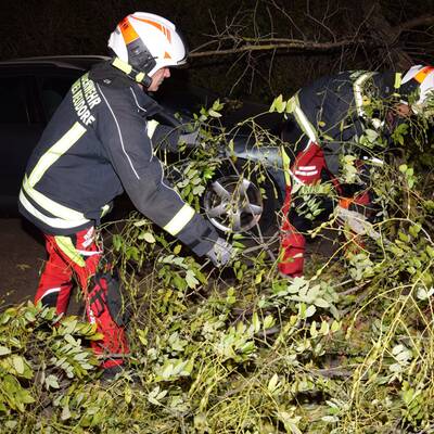 Das war das Jahr 2018