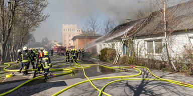 Brand Tiere Hollabrunn