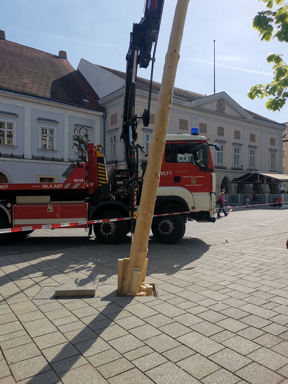 Maibaum Wiener Neustadt