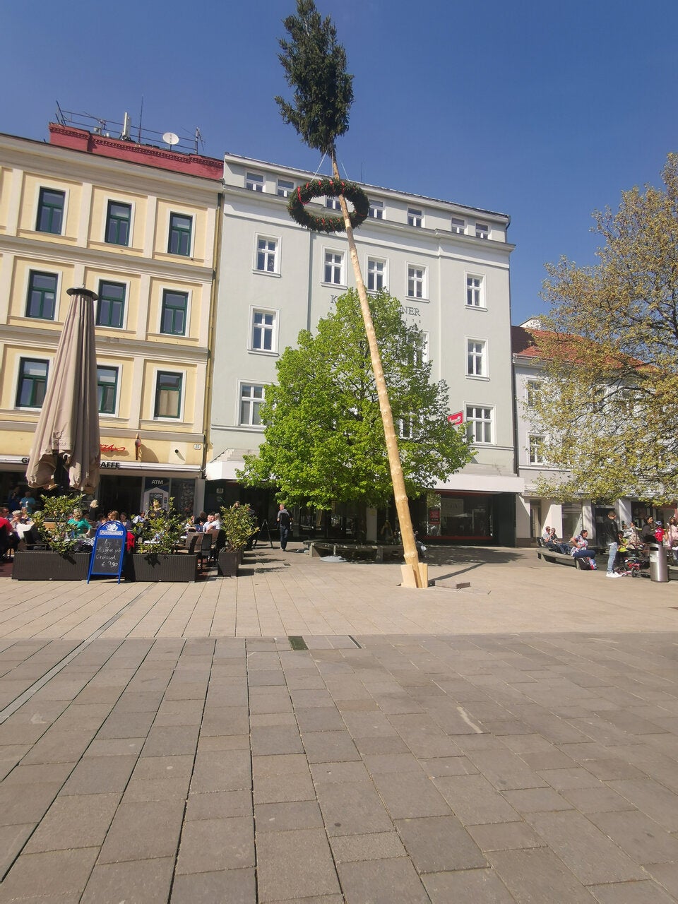 Maibaum Wiener Neustadt