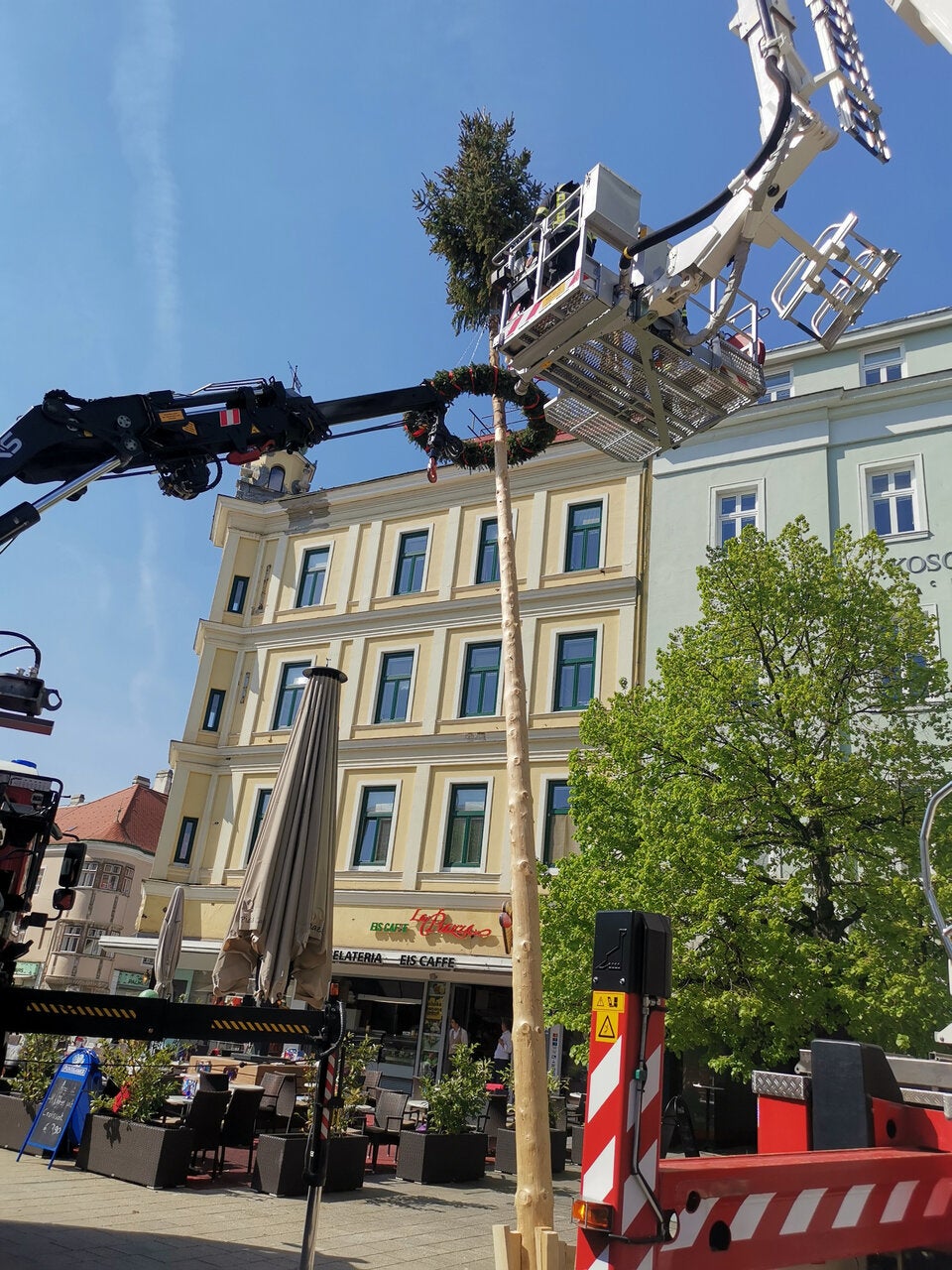 Maibaum Wiener Neustadt