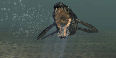 PLIOSAURIER IN &Ouml;STERREICH