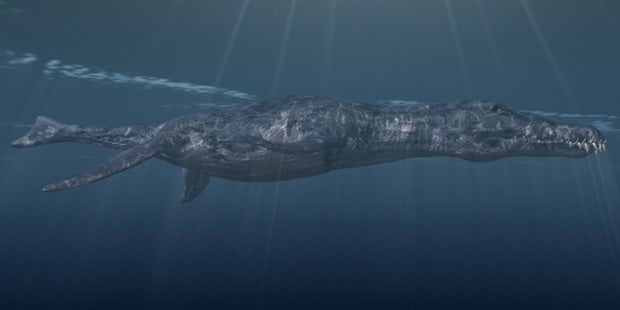 ERSTER PLIOSAURIER IN ÖSTERREICH