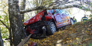 STEIERMARK: AUTO KRACHTE IN &Ouml;BLARN GEGEN BAUM: LENKER TOT
