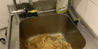 Erneut illegale Produktionsst&auml;tte f&uuml;r Asia-Imbiss entdeckt