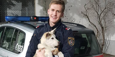 Polizisten nahmen Betrunkenem Husky-Welpen ab