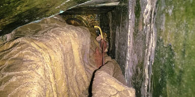 Friedrich III. Grad Stephansdom