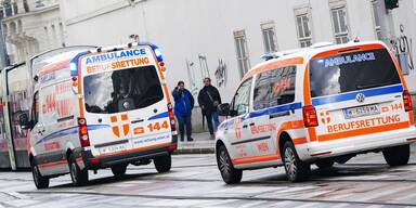 Rettung Wien Themenbild