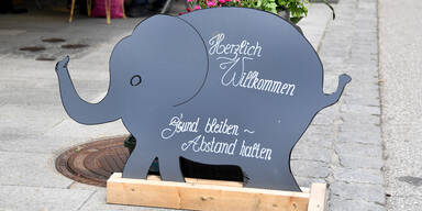 Baby-Elefant