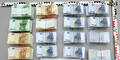 300.000 Euro Falschgeld sichergestellt