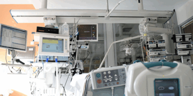 Pensionistin nach Kutschen-Unfall verstorben