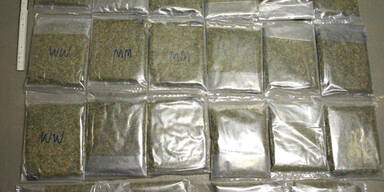 17 Drogendealer von Polizei gefasst