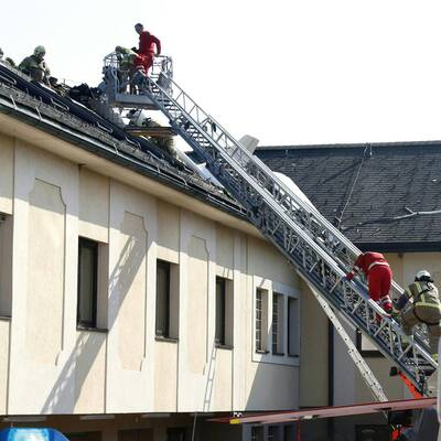 Beide Insassen kamen ums Leben