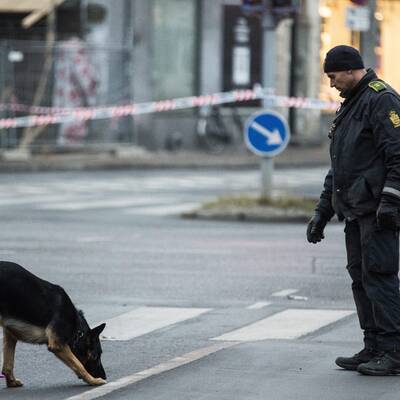 Der Täter wurde offenbar bei Schießerei getötet.