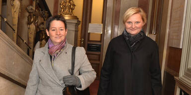 Wehsely Schieder Ludwig Frauenberger