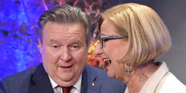 Michael Ludwig und Johanna Mikl-Leitner