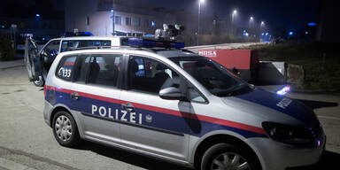 Einbrecher wüteten in Kellerabteilen