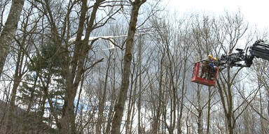 Segelflieger landete in Baumkrone