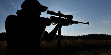 J&auml;ger erschoss Pony statt Wildschwein