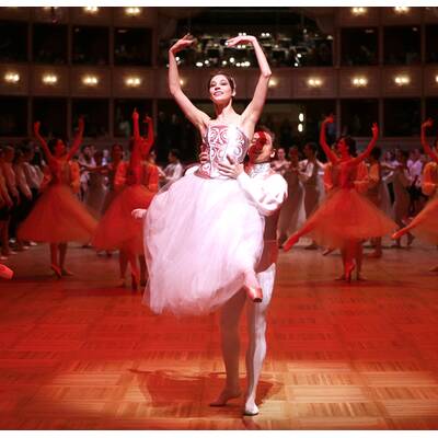 Das war die Generalprobe zum Opernball 2017