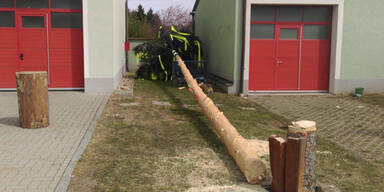 Maibaum kracht auf Feuerwehrhaus