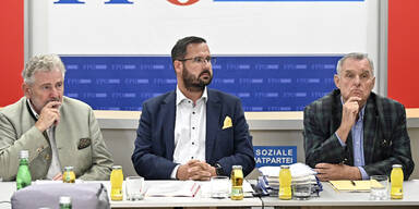 Hafenecker M&ouml;lzer Brauneder