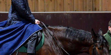 Kickl Pferde Berittene Polizei