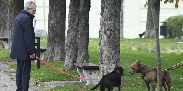 Hier geht Van der Bellen mit seinem Hund spazieren