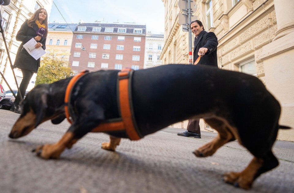 So haben die Hofburg-Kandidaten gewählt