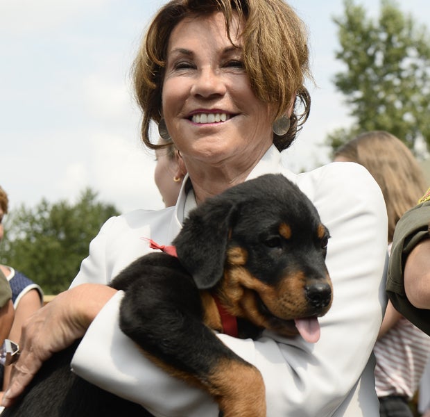 Bierlein Hunde Rottweiler