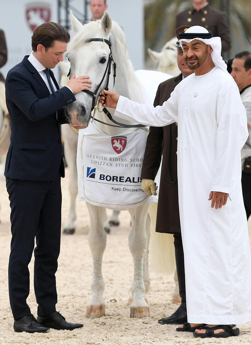 Kurz mit Lipizzaner