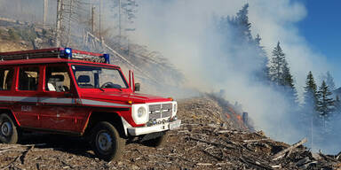 Trockenheit: Waldbrand im Dezember