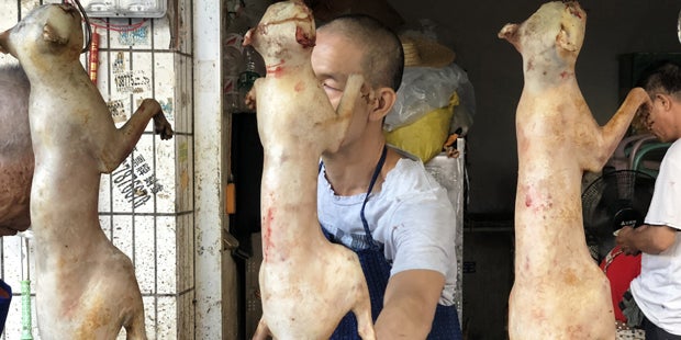 Yulin Hundefleischfestival