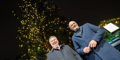 Christbaum erstrahlt im Lichterglanz