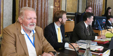 Eklat im U-Ausschuss: Zeuge kommt nicht