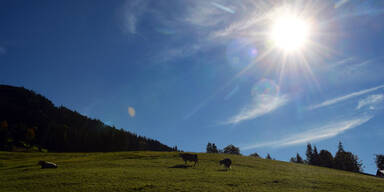 Arbeitswoche beginnt mit viel Sonnenschein