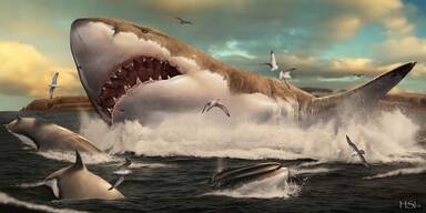 Künstlerische Darstellung eines Megalodon