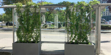 Stadt Wien begr&uuml;nt &Ouml;ffi-Warteh&auml;uschen