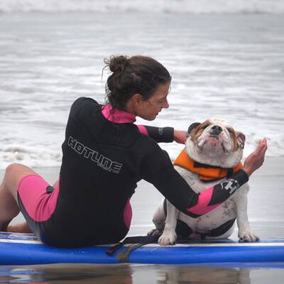 Surfende Hunde in Kalifornien