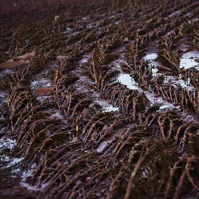 Schwerer Chemie-Unfall in Ungarn