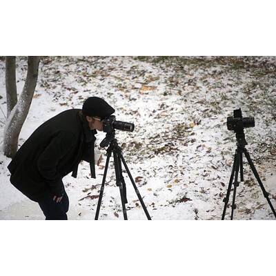 Angelina Jolie kriegt nicht genug von Brillenschlange Brad Pitt