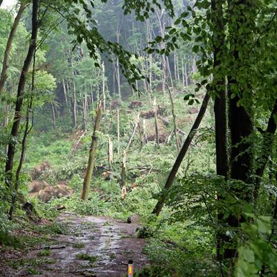 Schwere Unwetter in Österreich